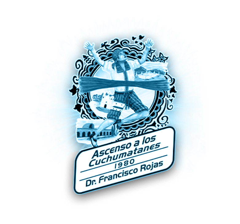 Logo 33